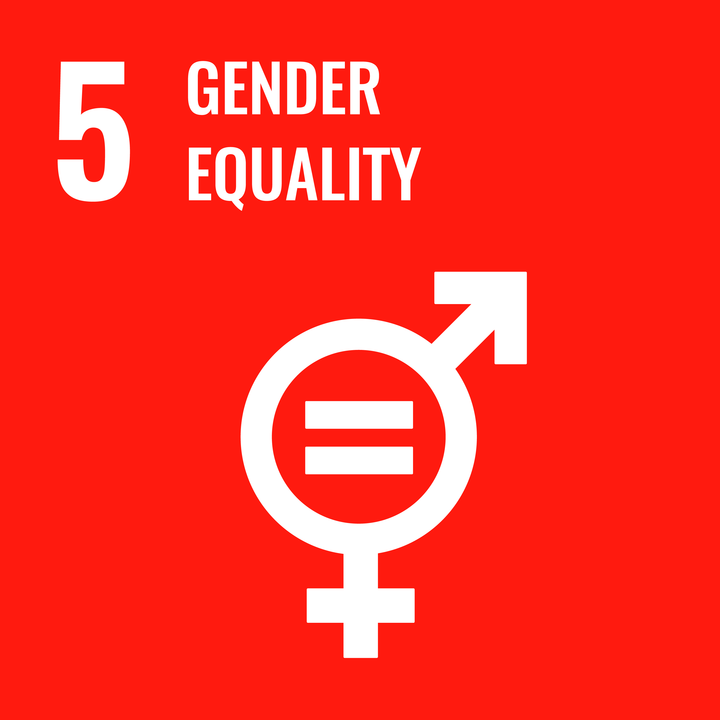 UEMF SDG1 report 2021