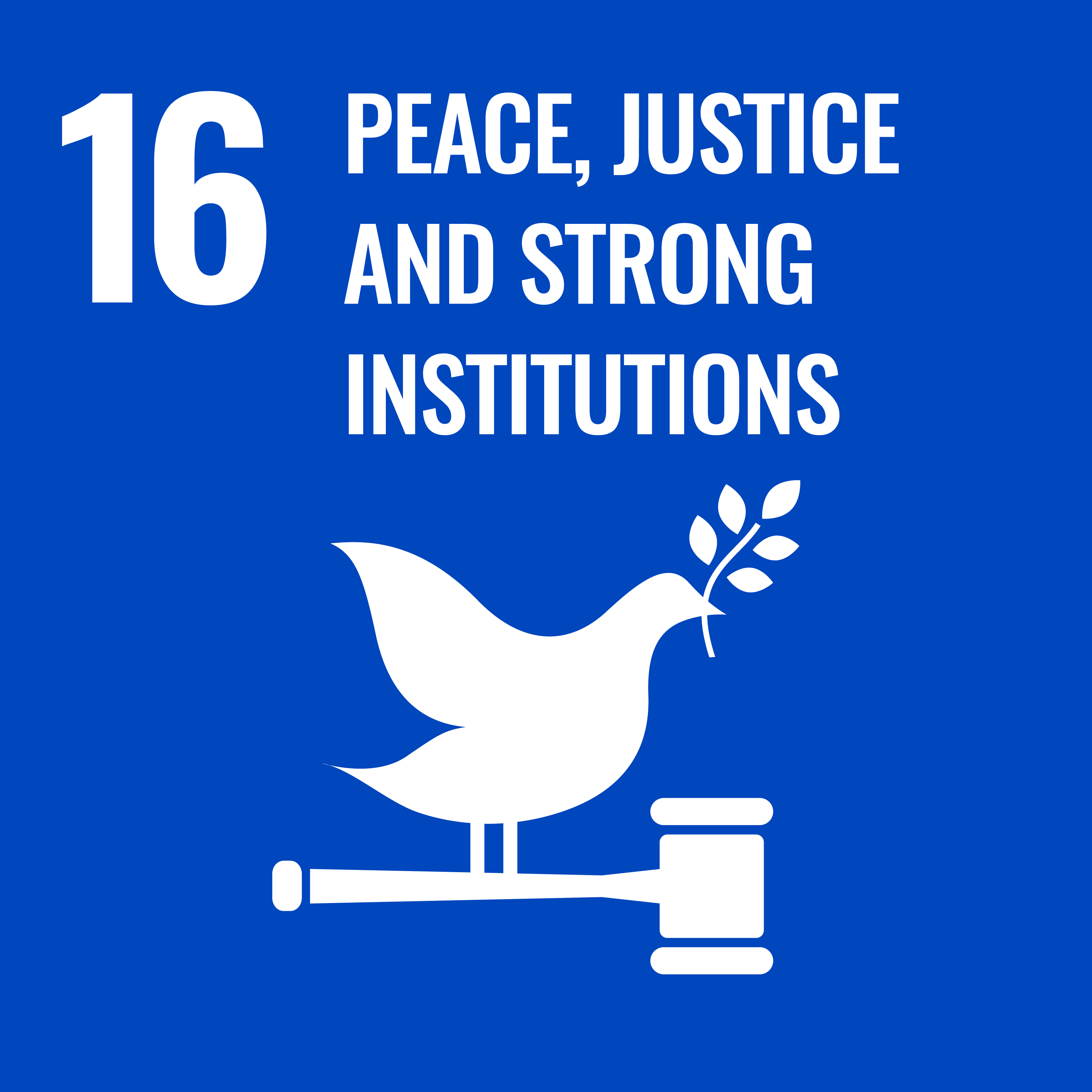 UEMF SDG1 report 2021